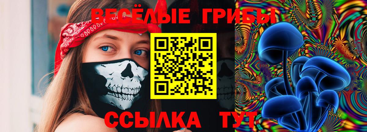 Корсаков  Псилоцибиновые грибы ЛСД  Вход с VPN 